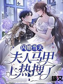 闪婚当天:夫人马甲上热搜了