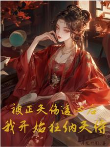 被正夫伤透心后，我开始狂纳夫侍