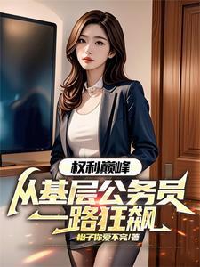 权力巅峰：从基层公务员一路狂飙