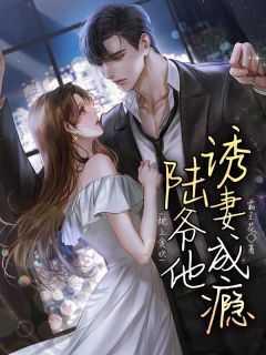 枕上贪欢,陆爷他诱妻成瘾