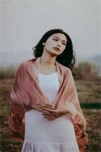 热门小说龙虎斗京门