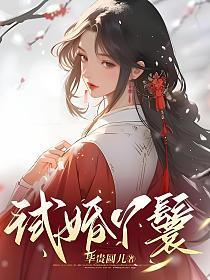 试婚丫鬟