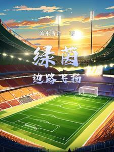 足球系统类不进球的球王