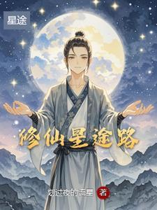划过夜空的星