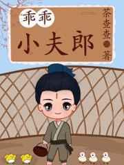乖乖小夫郎百度TXT