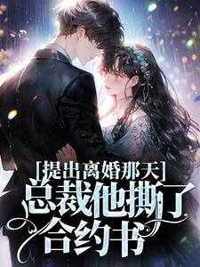 总裁离婚当天