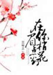 在你眉梢点花灯讲了什么